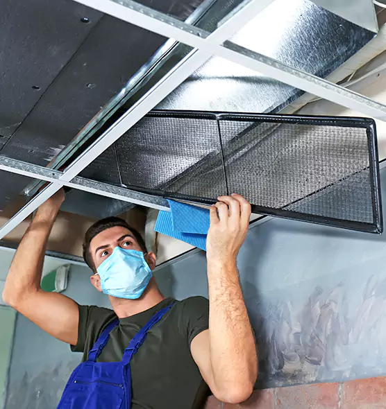 About Air Duct Bacteria Removal in Highland Park