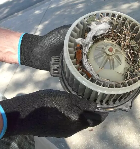 About Air Duct Mice Removal in Highland Park, IL