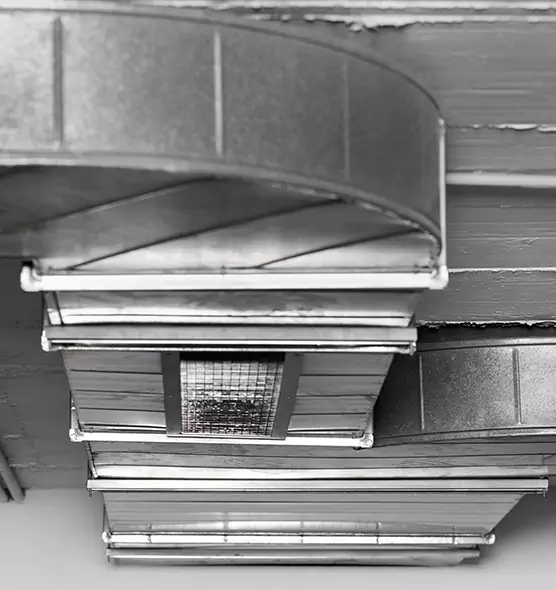 Professional Air Duct Pest Removal in Highland Park, IL