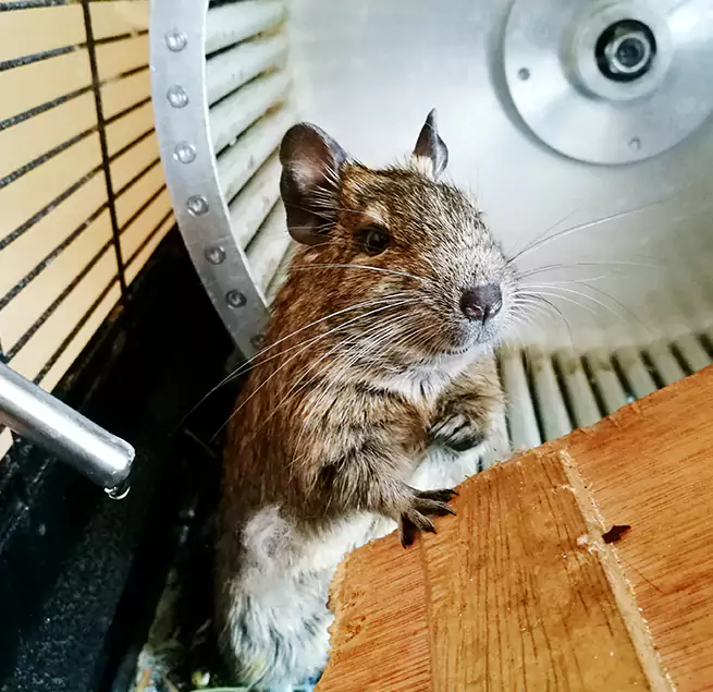 Why Homeowners & Businesses Trust Us Highland Park, IL